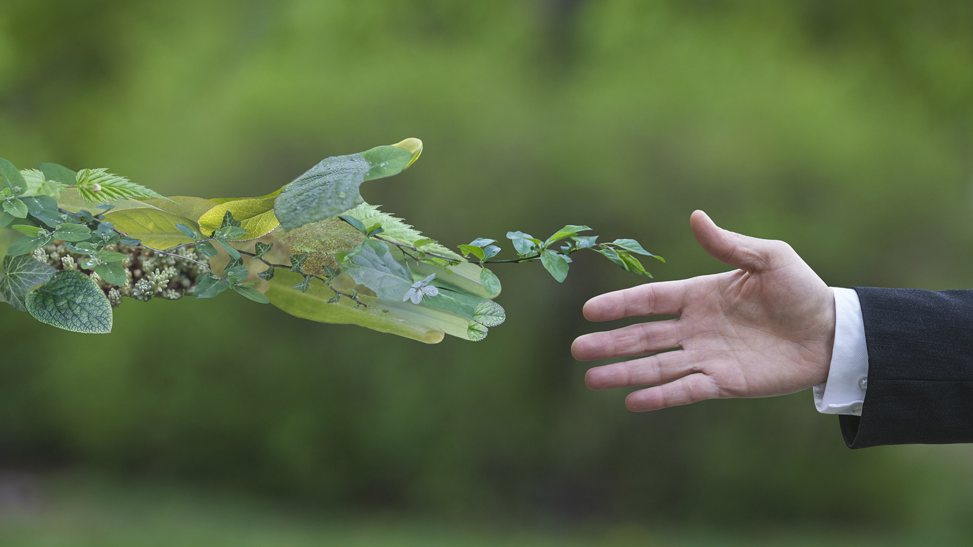 100 Sustainability Pictures  Download Free Images on Unsplash